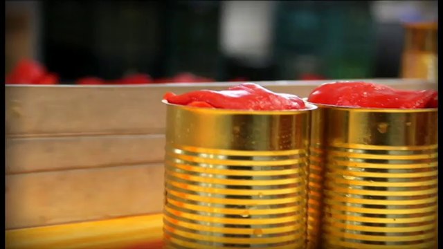 Tribuaren Berbak (Nafarroa, arragoa)