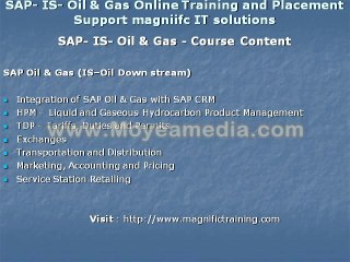 sap is oil & gas downstream online training