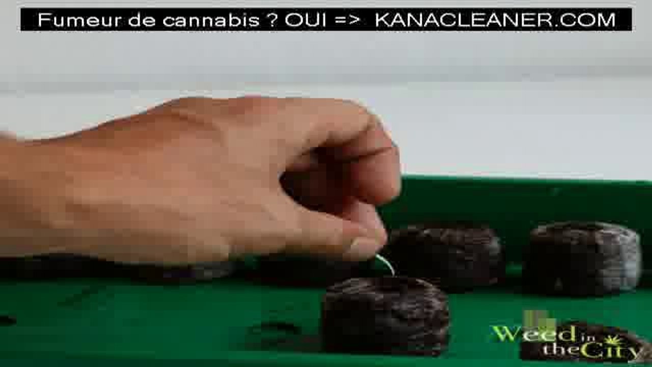 Astuce pour faire pousser de la beuh sur sa terrasse