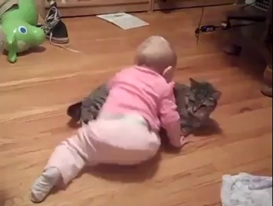 cat lover