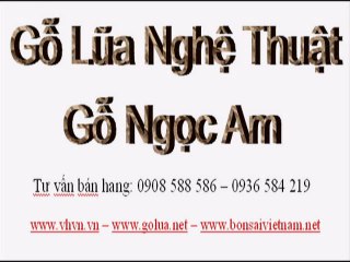 GỖ LŨA NGỌC AM - 0975 898 939