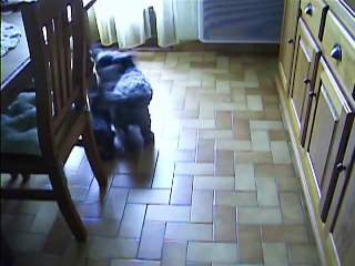 Chanel et Jaudy ont eu une friandise