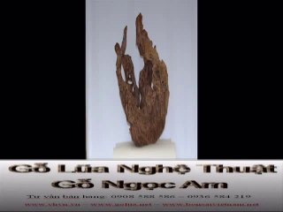 Gỗ Lũa Ngọc Am Nghệ Thuật Chế Tác