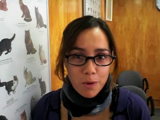 CIM Formación - Una alumna se ofrece como Auxiliar Técnico Veterinario