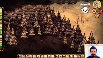 Pintipanda TV Hatıra Ormanı [Bölüm 2] | Don't Starve