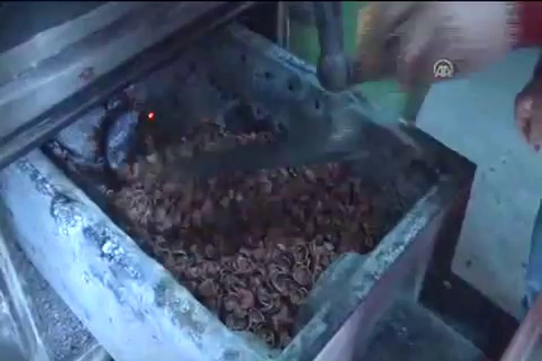 Apartmanı fındık kabuğuyla ısıttılar