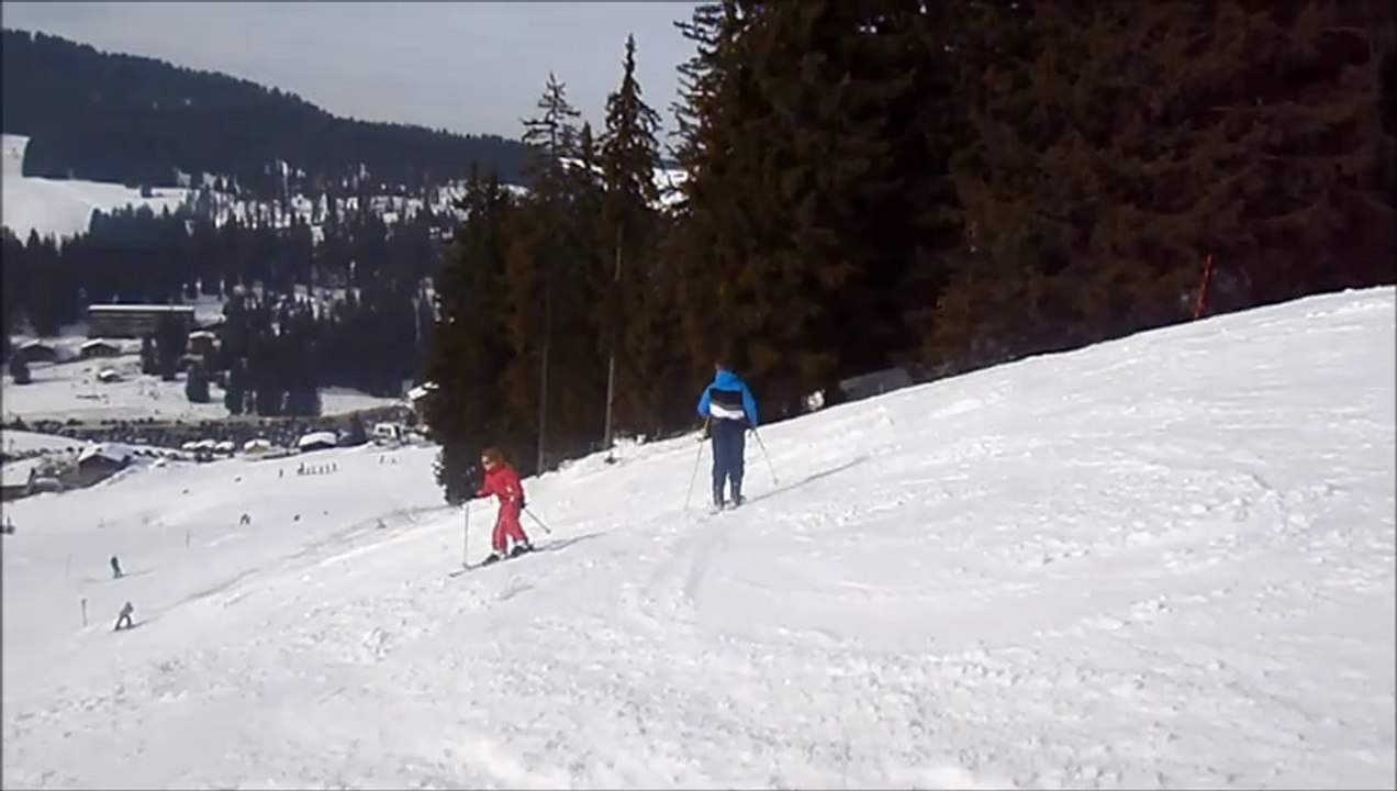 La Croix Fry Mars 2014