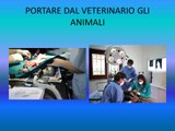 NUTRIRE GLI ANIMALI