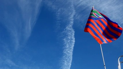 Mastering the Art of Tailgating in Gainesville, FL 🏈