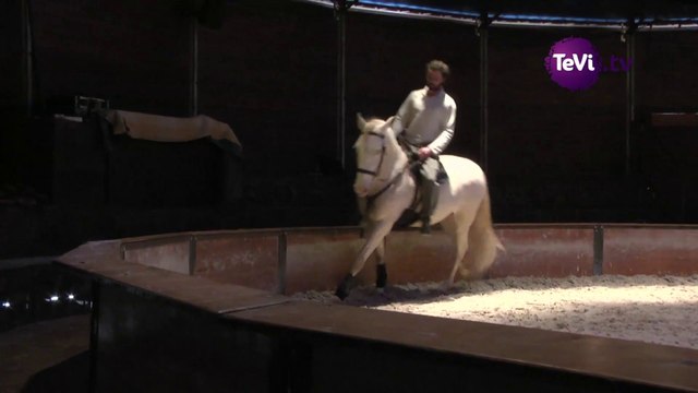Perspectives cavalières au haras de st-lô [TéVi] 21-03-14