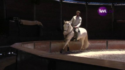 Perspectives cavalières au haras de st-lô [TéVi] 21-03-14