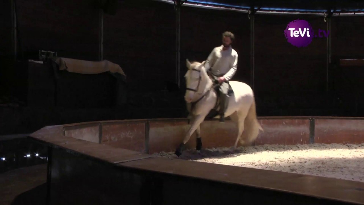 Perspectives cavalières au haras de st-lô [TéVi] 21-03-14