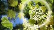3-Surah al-Imran with English Translation (Complete Quran) Imam Al-Sudais _ Al-Shuraim 1_2