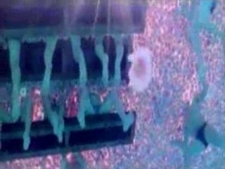 Un plus beau regard sur le monde