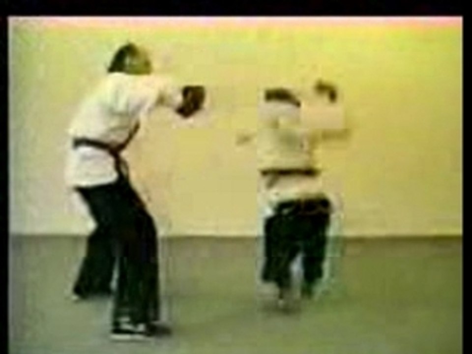 monkey kung-fu(1)