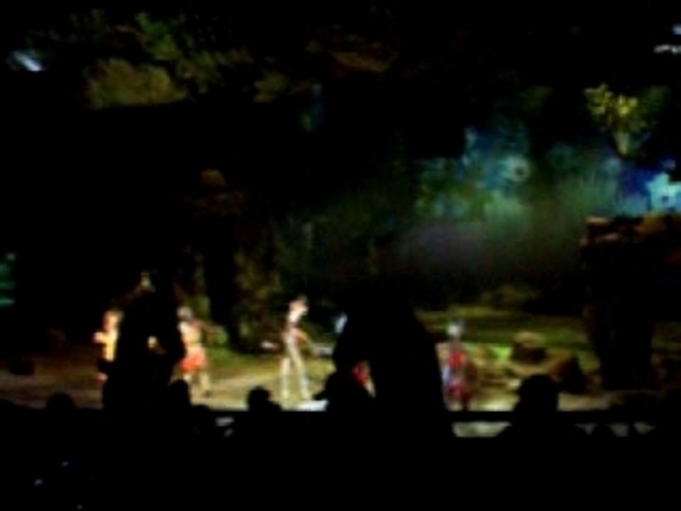 Hakuna Matata Disneyland Paris