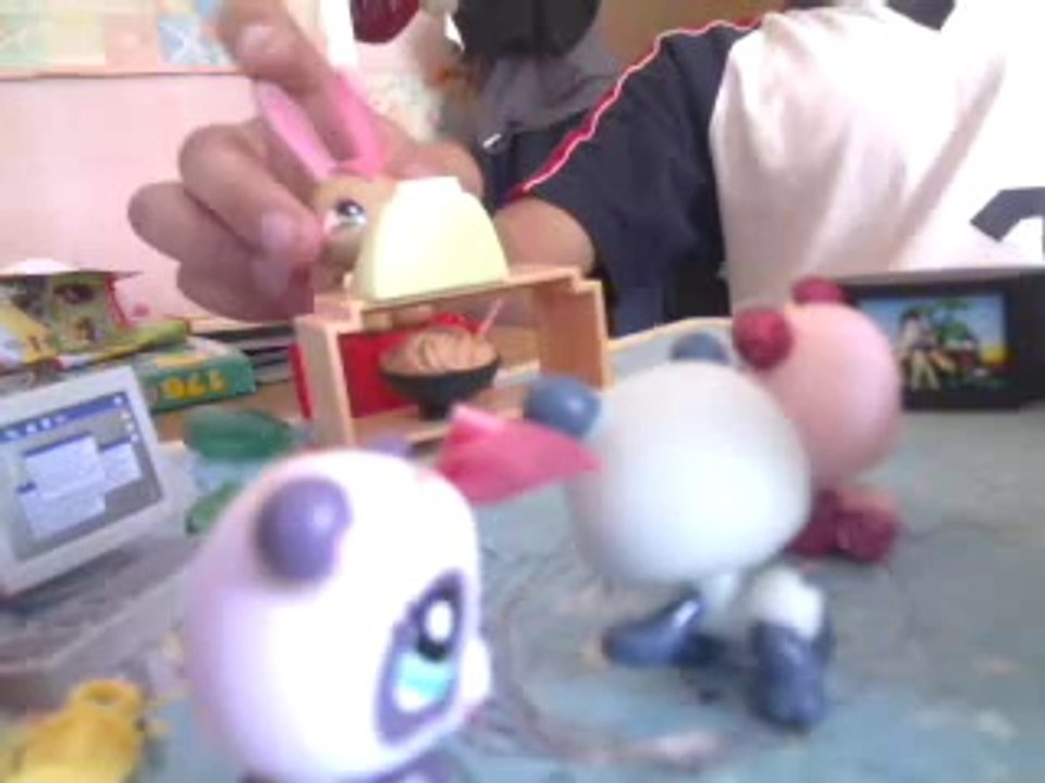 petshop