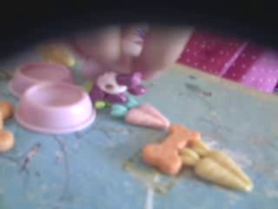 petshop