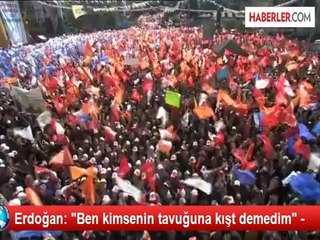 erdoğan ben kimsenin tavuguna kis demedim