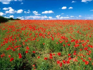 Halimiz Ahvalimiz   -  Dağlar Siz Ne Dağlarsınız..