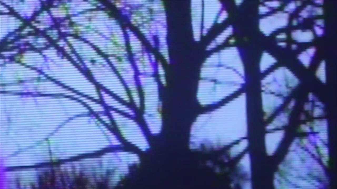 Crystal Castles - Affection