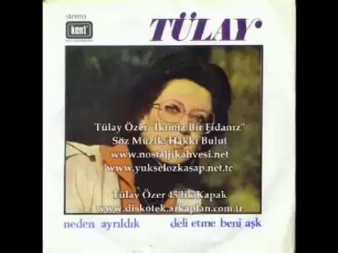 (1) Tülay Özer _ İkimiz Bir Fidanız