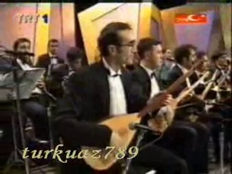 İsmail OLGAY-Yeşil Ördek Gibi Daldım Göllere