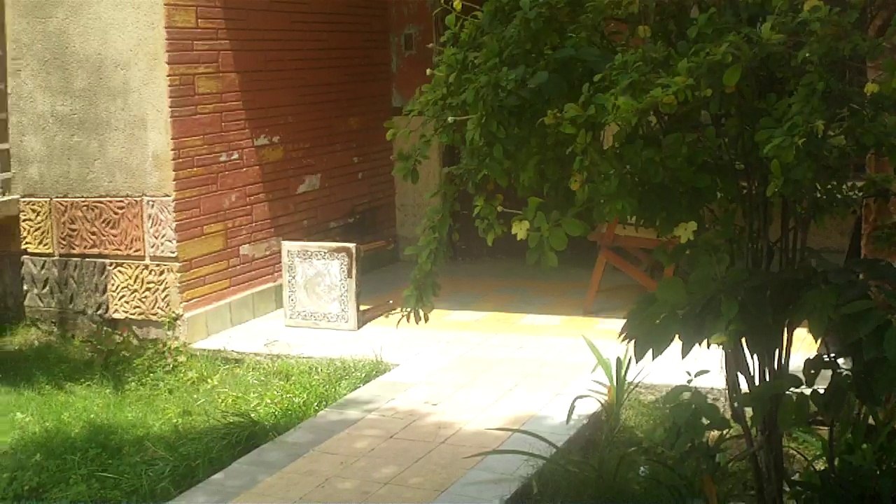 El lavadero de Dimitri