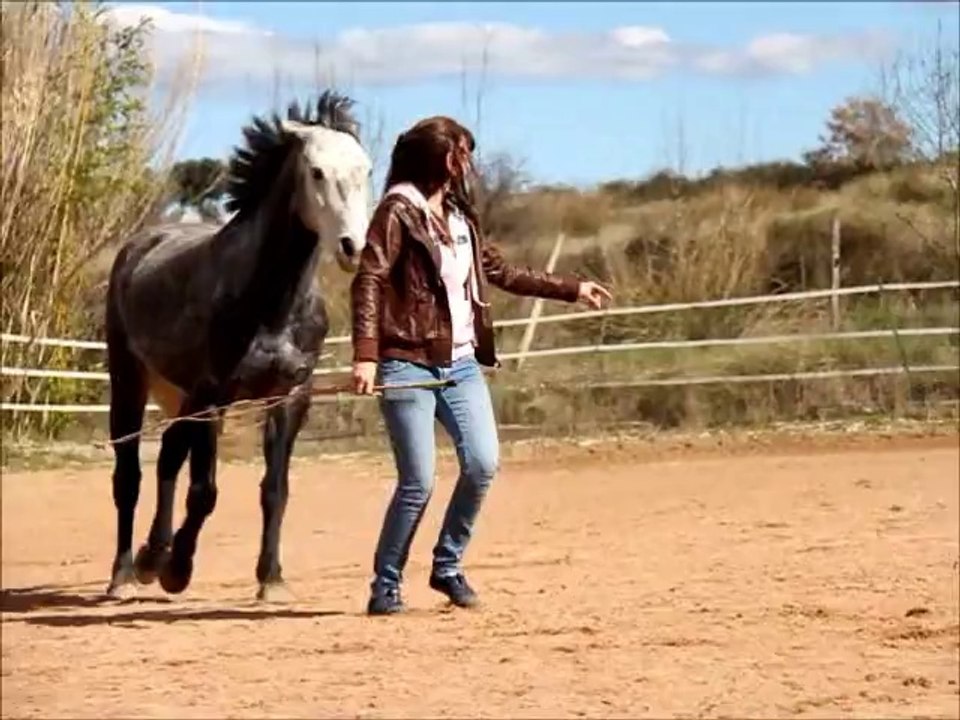 Twist - mars 2014