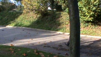 Roman "Je serai parti, avec ou sans toi"