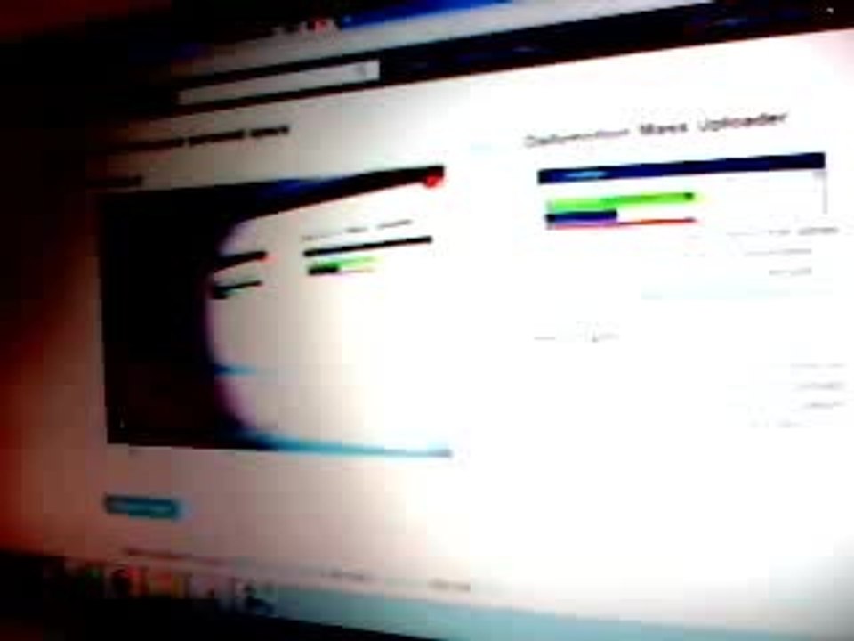 Baby Einstein - Baby Mozart - Music Festival