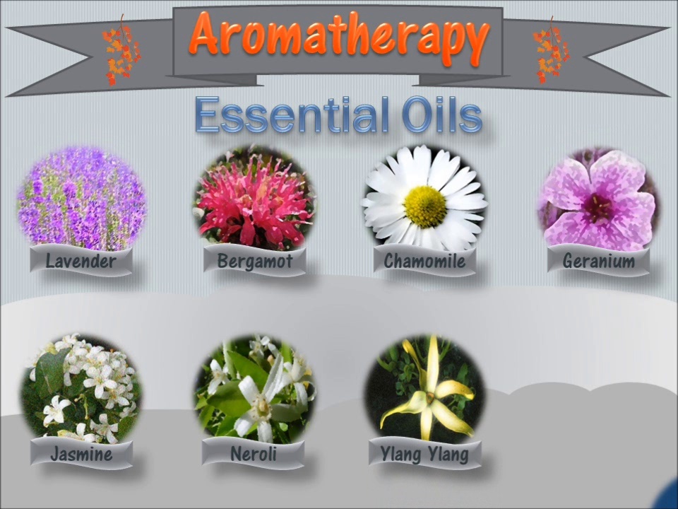 Lavender Essential Oil