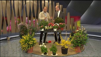 Espai Terra. divendres 21 de març