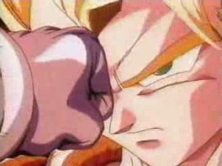 Fusions dbz amv