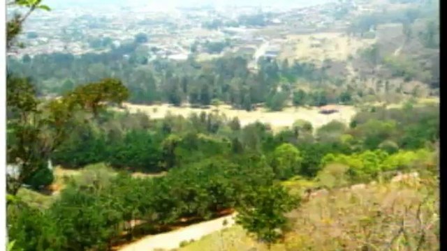 DIARIO NOTICIAS Viernes 21 de Marzo de 2014-20140321-210657_446