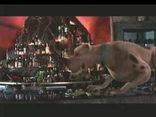 Scooby-Doo - Spot 5 ( 20 sec )