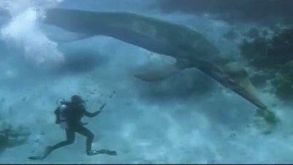 Jurassic World: Patel Corp - 2015 Project