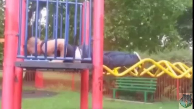 Recopilacion de Fails ; Golpes , Caidas , Animales. 2014.