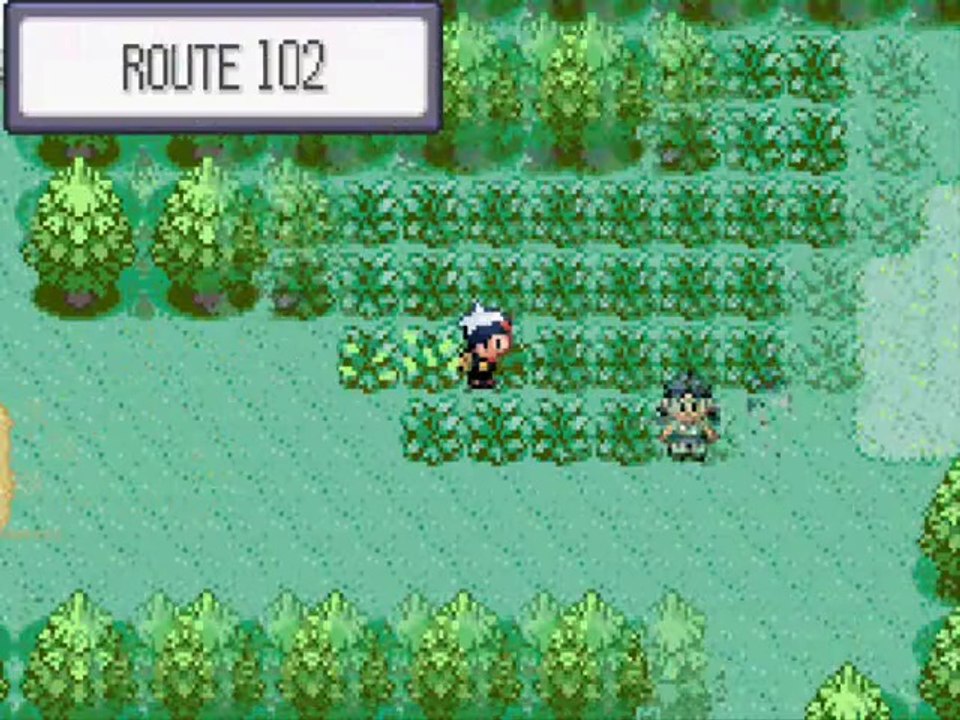 Pokémon Saphir 2) Une pépite!!