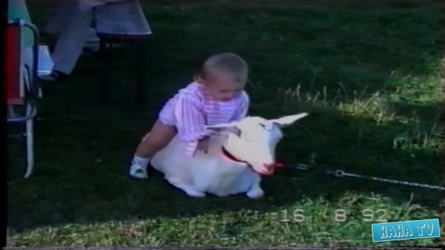 Crazy and Funny kids compilation... playing with animals, and doing crazy things!