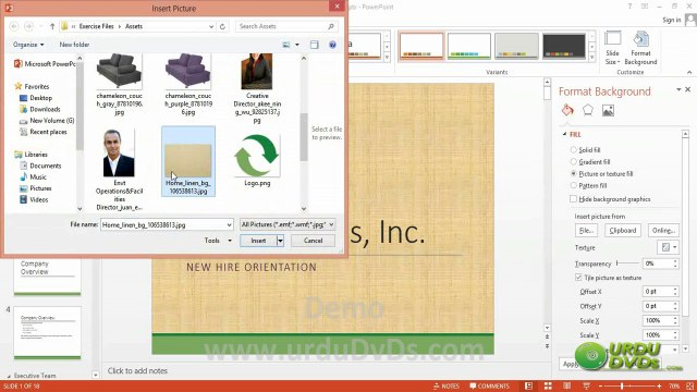 17. Powerpoint 2013 in Urdu - Adding Pictures