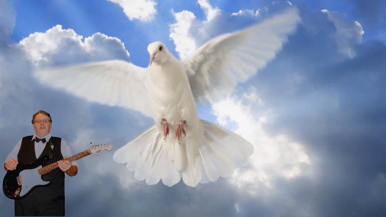 Una Paloma Blanca Edouard busa