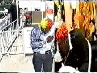 Elephant Man - Martial arts riddim -