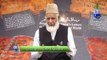 Nabi Kareem(saw) Kay Khatoot Aur Gazwa Muta Ka Pas Manzar by Hafiz Mohammad Idrees