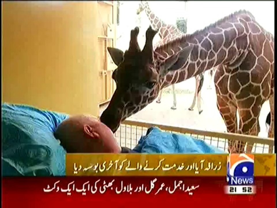 Heart_Touching_Story_from_Zoo_in_Holland