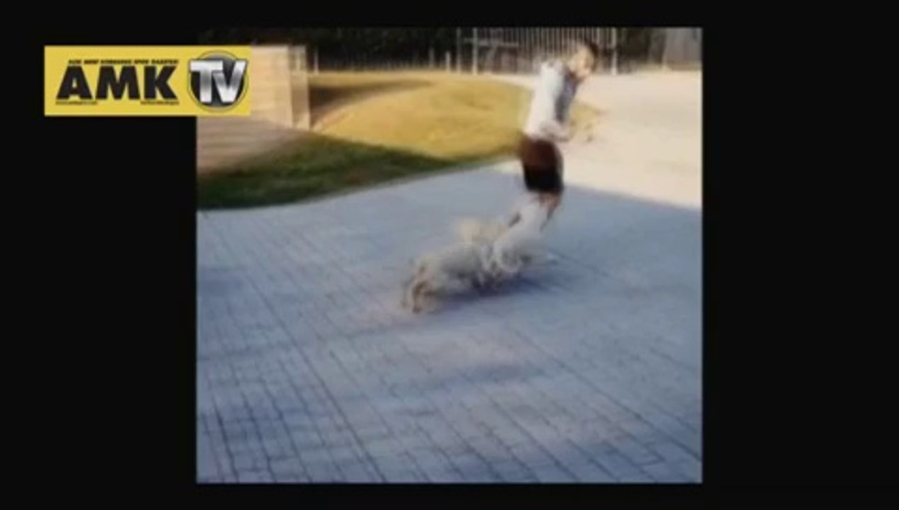 Arda Turan köpeklerini eğitiyor