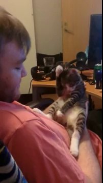 Kitten Hates to be Kissed