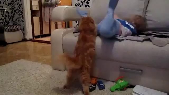 Playful Cat Entertains Baby