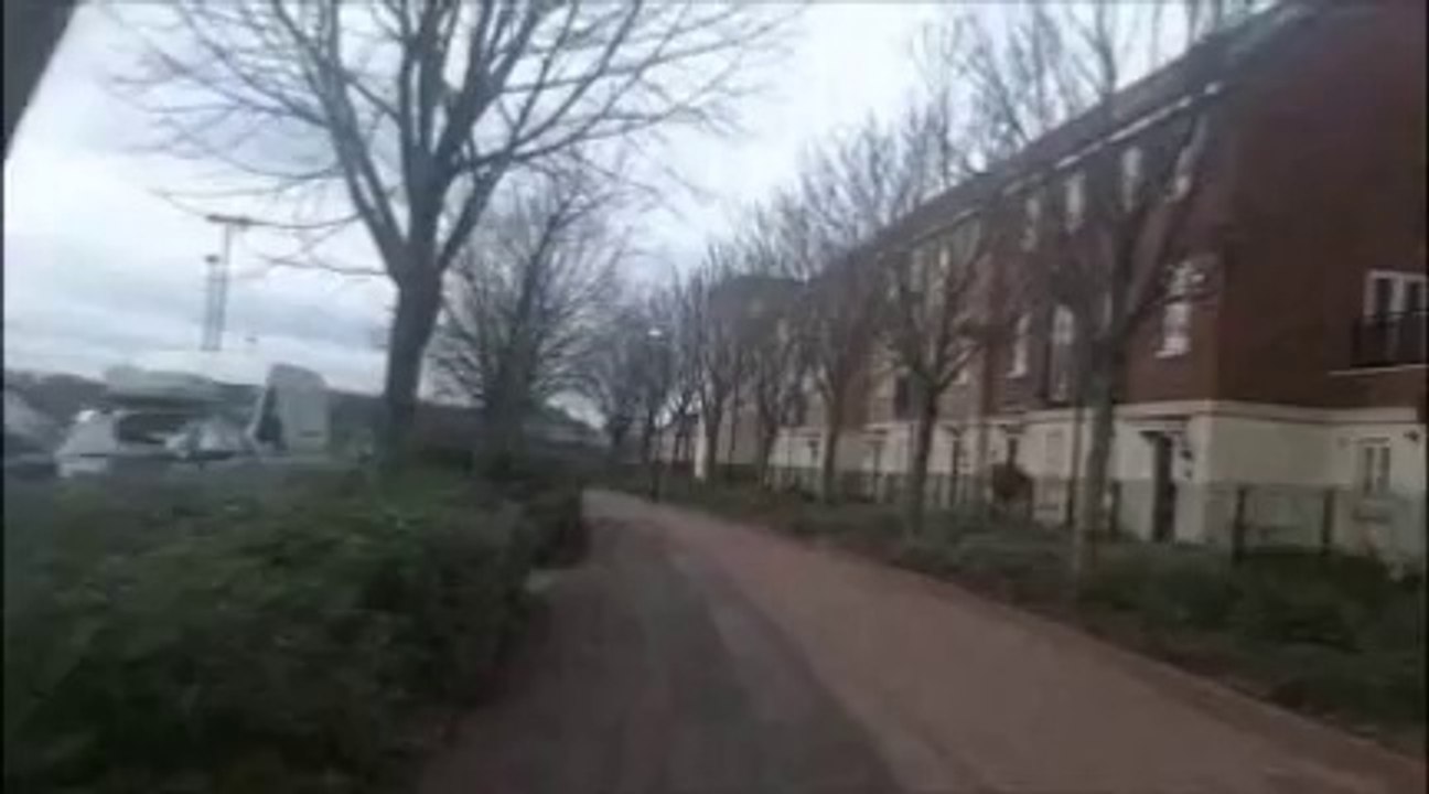 TRIP TO LAKESIDE