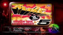 El Cepillo (Remix) - Fulanito ♫♫ To' Mixeao 5 ♫